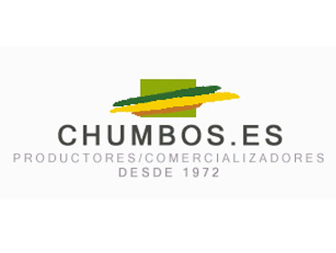 logo murcia diseño logotipo