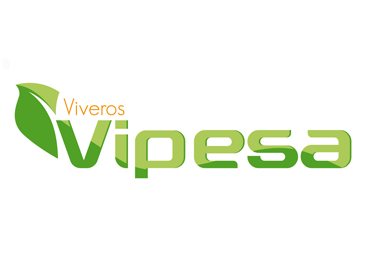 logotipo diseño ver murcia