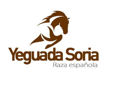 empresa diseño logotipos murcia