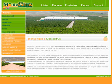 desarrollo pagina web