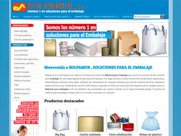 diseño pagina web