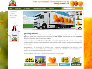 diseño tiendas online murcia