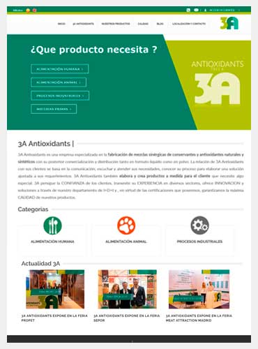 diseño web en murcia