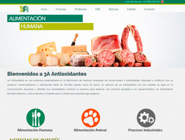 diseño paginas web  murcia
