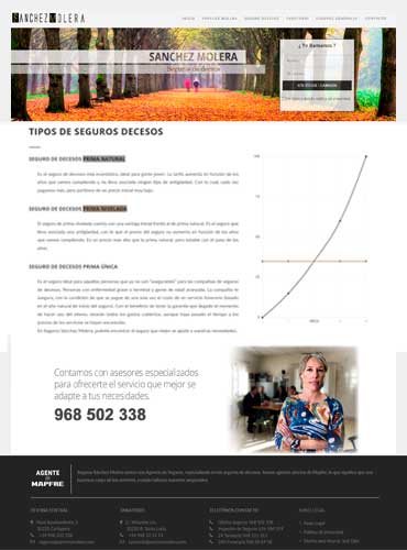 diseño web en murcia