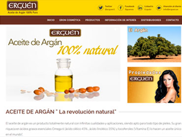 diseño paginas web  murcia