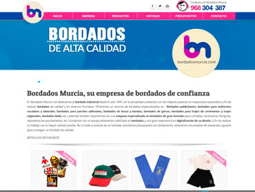 paginas web murcia
