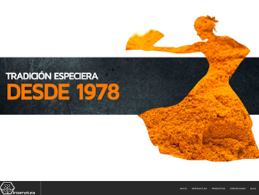 diseños web en murcia
