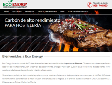 diseño paginas web  murcia