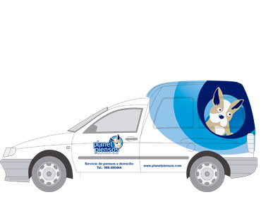 rotulacion vehiculos murcia