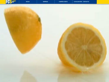 diseñadores de paginas web murcia