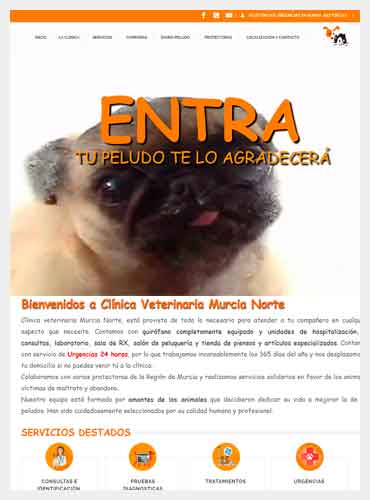 diseño web en murcia veterinaria