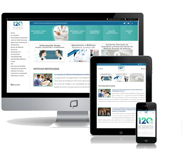 diseño web murcia